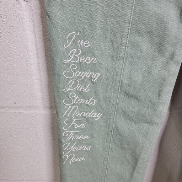 Diet Starts Monday Mens Size 30 Cargo Utility Pant Light Green Straight Leg - Picture 5 of 12